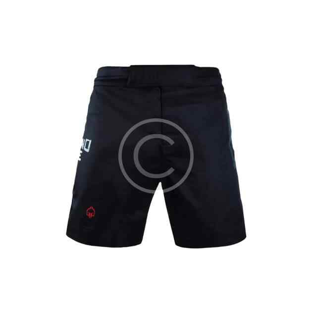 Sports shorts